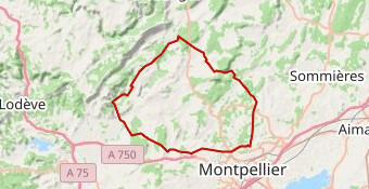 Montpellier 3 - Bucolique