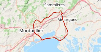 Montpellier 6 - la Camargue