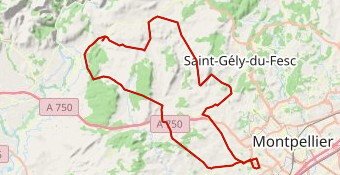 vedasienne2013-85km