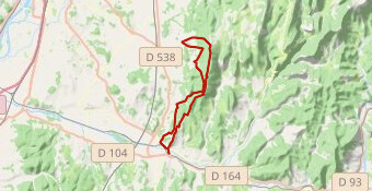 Trail de la crête 2024