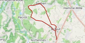 Parcours Zèbres du 11/02/2020 bis