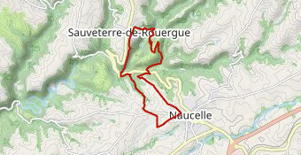 VTT Ronde  12km 2024