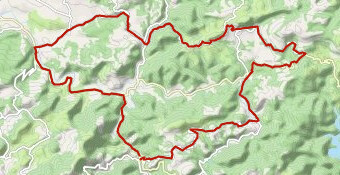 Brusque Belmont Brusque