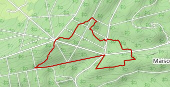 Parcours Santé 8 km RG