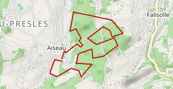 By Night 2019 10km F