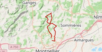 La Teyrannaise Gravel 2024