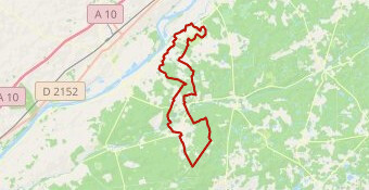 Solog'Night 2024 - Circuit Sportif