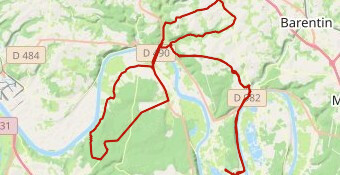 Petite Viking 2010 variante