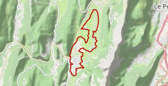 Vertaco Bike 2024 - Cool Raoul VF