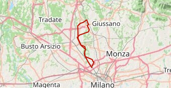 RandoNovatese corto  2024