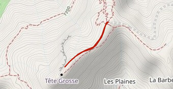 Variante Tête Grosse