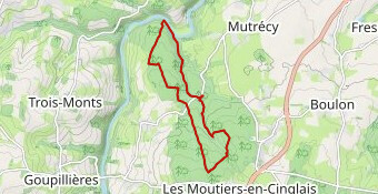 15/06/2024 Forêt de Grimboscq