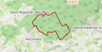 Fontaine Pesée 10.2 km RG