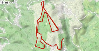 Marathon du forez 2023