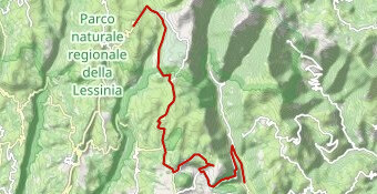 Branchetto da Selva di Progno (via Tecchie)