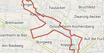 Marche Populaire Sans Kutt 10