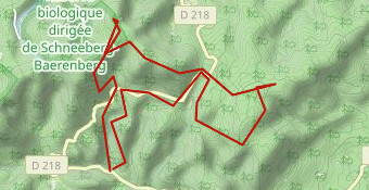 Nideck-Schneeberg-Pandours