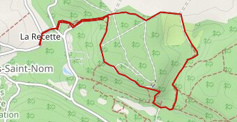 découverte Louveteaux