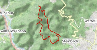 Steinbach : les classiques