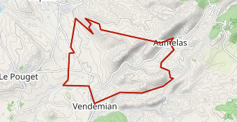 vendemian