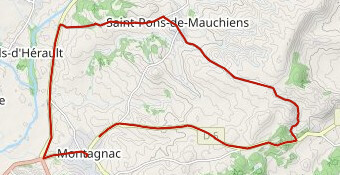 CLM des Vendanges V2024