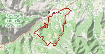 LOS MASOS LOS MASOS moins