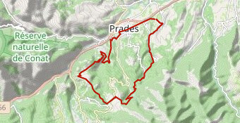 los masos los masos +