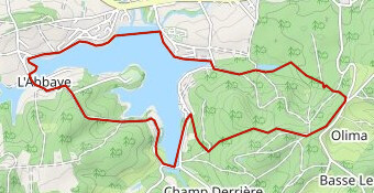 Olima-Tour Etang Bouzey - Olima