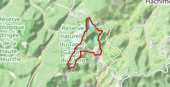 Lac Blanc L Vert L du Forlet Lac Noir L Blanc