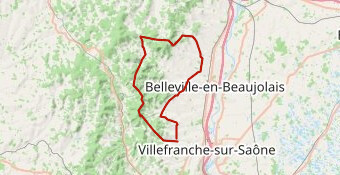 fut d avenas mt brouilly