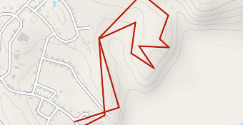 balade dans la Taiga à Nuuvuk bay