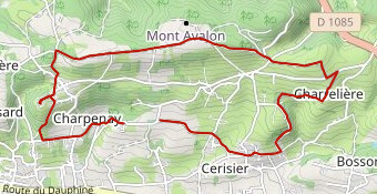 Cross de Marrons  2024