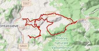 LA LEONESSA - Intermedio