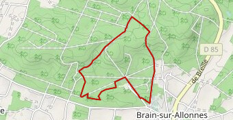 La forêt de nos ancêtres 6k