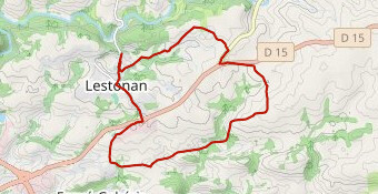 Marathon Day 2024 15km