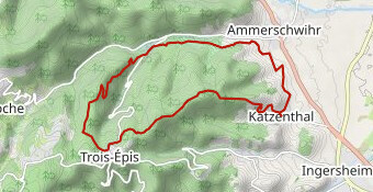 Randonnée autour du Galtz et Ammerschwihr