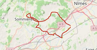 cyclo 24 50