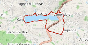 Trail Lamontjoie 2025
