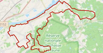 LA_ROYALE_60_LA_BICHE