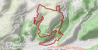 Trail du ruban vert 11 km 2024