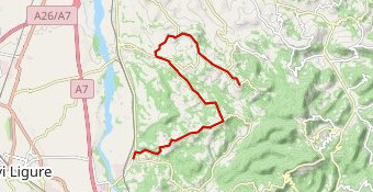 crono squadre femminile