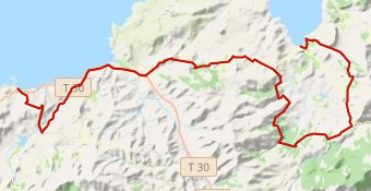 Wenning #5 2.0 short