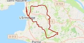 C25a Epinettes envers