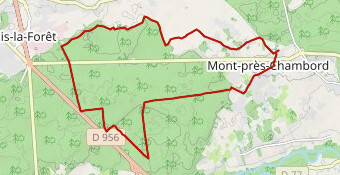 P5-17k-20156273-Gr-Original