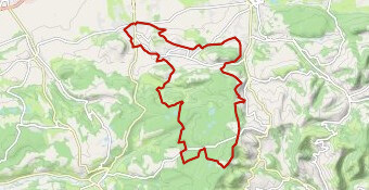 tobo-2024--32km/772m***