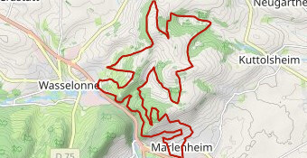 Trail du telethon Marlenheim reco 2024
