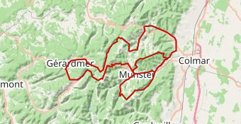 Michel  CMV2026 N°1