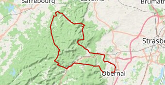 2. Jeu 08 05-137km Donon