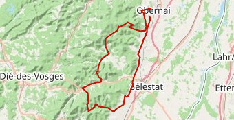 4. Sam 10 05- Etoile des Vosges 2025 - Aubure- 133