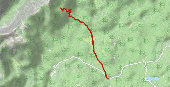 Zajavornik Blejska Koca